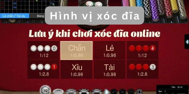 cach nhin hinh vi xoc dia 67e19517d11ac