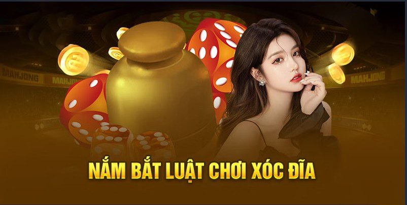 luat choi xoc dia 67e18228c0a0c